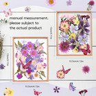 95pcs Natural Pressed Dried Flowers Resin And Butterflies  Dry Flowers For Resin