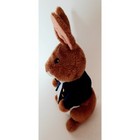 Kohl s Cares Peter Rabbit Plush Stuffed Animal 2022 Toy
