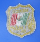 Country Of Mexico Patch Lot Of 6 Vtg  80s Viva La Raza Flag Seal Pride