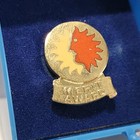 National Airlines Employee Merit Award Pin Aviation Travel Air Lines