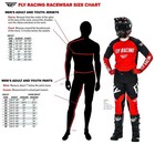 Fly Racing F-16 Motocross Offroad Pants - Pick Size   Color