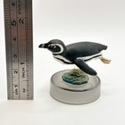 Magellanic Penguin Mini Figure Bottle Cap Kaiyodo Japan Limited Collector s Item
