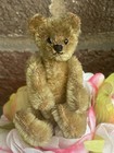 Rare Sweet Early Antique C 1900s Steiff Miniature Brown Bear 3 5    No Id Look
