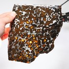 242g Beautiful Sericho Pallasite Meteorite Slice - From Kenya C6563