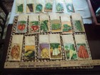 23 Vintage French Vegetable Seed Packets 1920 s-30 s Unused Original