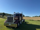 1989 379 Peterbilt 