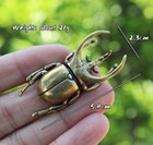 Brass Trypoxylus Beetle Insect Animal Statue Small Sculpture Figurine Home Decor