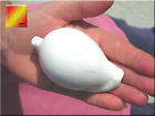 Set Of 2 Large White Egg Cowries  ovula Ovum  About 2 1 2 - 3  Nautical Crafts