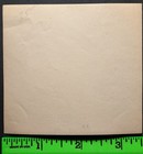 Vintage 1920 s  Women s Local Baseball Team Snapshot Photo