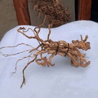 Natural Driftwood Aquarium Root Trunk Tree Fish Tank Landscape Plants Woods Root