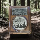 2010 Pcgs Ms70  999 Silver First Strike 10 Yn Panda Pcgs Valued At 200 00   