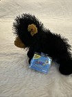 Ganz Webkinz Retired Black Bear Plush  hm004  New With Tags   Unused Sealed Code