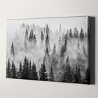 Foggy Forest Black   White Trees Nature Landscape Canvas Print Wall Art