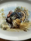 Vintage Sabin Turkey Platter Thanksgiving 22k Crest O Gold Trim Oval 17 X 11