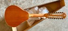  neck Broken  16 Strings Guitar  Eq   Laminated Spruce Top  Mahogany Back sides