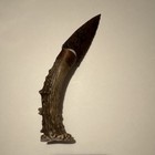 7 5   dale Duby - Great Basin Knife -handmade Flint   Antler- Curved - Obsidian