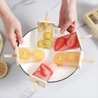 Popsicle Maker Mold   9 Molds With Tray   Frozen Juice  Ice Cream Smoothie