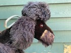 Antique Steiff Barking Dog Black Poodle Ride On Toy Voice Box Metal Handle
