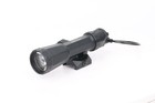 Holosun Raid 1000 Lumen 80000 Candela Illumination Device