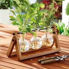 3 Pack Propagation Station Plant Stand Glass Vase Desktop Display Holder Decor