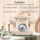 Wedding Audio Guest Book Phone  Unique Voicemail Message Recording