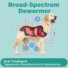 De-wormer For Dogs  Oral Treatment For Tapeworm  Roundworm   Hookworm In Large D