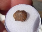 1 50 Grams Nwa 859 Taza Iron  Ungrouped Individual Meteorite With Info And Coa