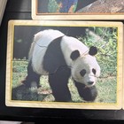 Lakeshore Learning Animals Up Close Wooden Puzzles Starfish Bird Panda Frog