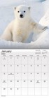 2023 Animal Babies Wall Calendar