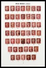 Lot 39000 Super Stamp Collection Great Britain 1840-1936 On Albumpages 