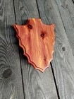 8x10 Cedar Whitetail Deer Shed Arrowhead Plaque Antler Taxidermy Mount Trophy 