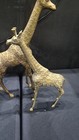 Vintage Pair Of Solid Brass Giraffe Figurines 24    17  Textured Mcm Excellent