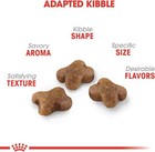 Royal Canin Feline Health Nutrition Kitten Dry Cat Food 3 Lb Bag Exp 09 26 New