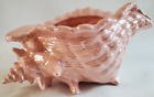 Pink Conch Glazed Ceramic Shell Planter By Coastal Regency Vintage Atlantic Mold