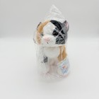 Ganz 2025 Webkinz Next Marble Cat  New Wk00023 Dual Codes 2 Adoption Codes W w