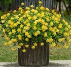  Artificial Flowers Plants For Spring Outdoors Decoration  12 Bundles L-yellow