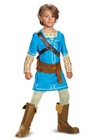 Disguise Link Breath Of The Wild Deluxe Costume