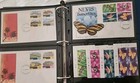Nevis- Large Collection Mint Blocks  Singles  Sheets  Covers  More 