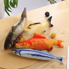 1 Pack Realistic Interactive Fish Cat Kicker Crazy Pet Toy Catnip Toys Gifts