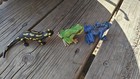 Schleich Plastic Amphibian Figurine Lot 2 Forest Frogs   Yellow Spots Salamander
