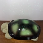 Cloud -b Twilight Turtle Night Green Light