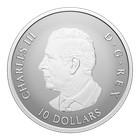 2026 Canada Gleaming Maple Leaves 1 2 Oz 9999 Silver Reverse Proof Coin