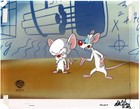 Pinky And The Brain Original Production Animation Cel Spielberg 1997 Warner Br N