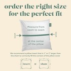 22x22 Decorative Throw Pillow Insert  Down And 1 Count  pack Of 1   White 