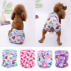 Female Small Pet Dog Puppy Hygiene Diapers Pant Washable Reusable Nappy Pants    