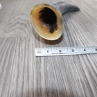 1 Raw Unfinished Cow Horn  4663   Natural Colored