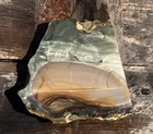 Orbed Blue Mountain Jasper Rough Slab Lapidary Cabbing Display Flat Lapping