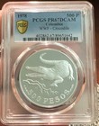 Colombia 500 Pesos 1978 Pcgs Pr67 Wwf Conservation Wildlife Crocodile