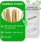 75 Pack 4ft Garden Bamboo Stakes For Plant Support  Garden Poles