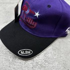 Vintage Philadelphia Stars Hat Cap Negro League Baseball Y2k Deadstock Nwt 90s